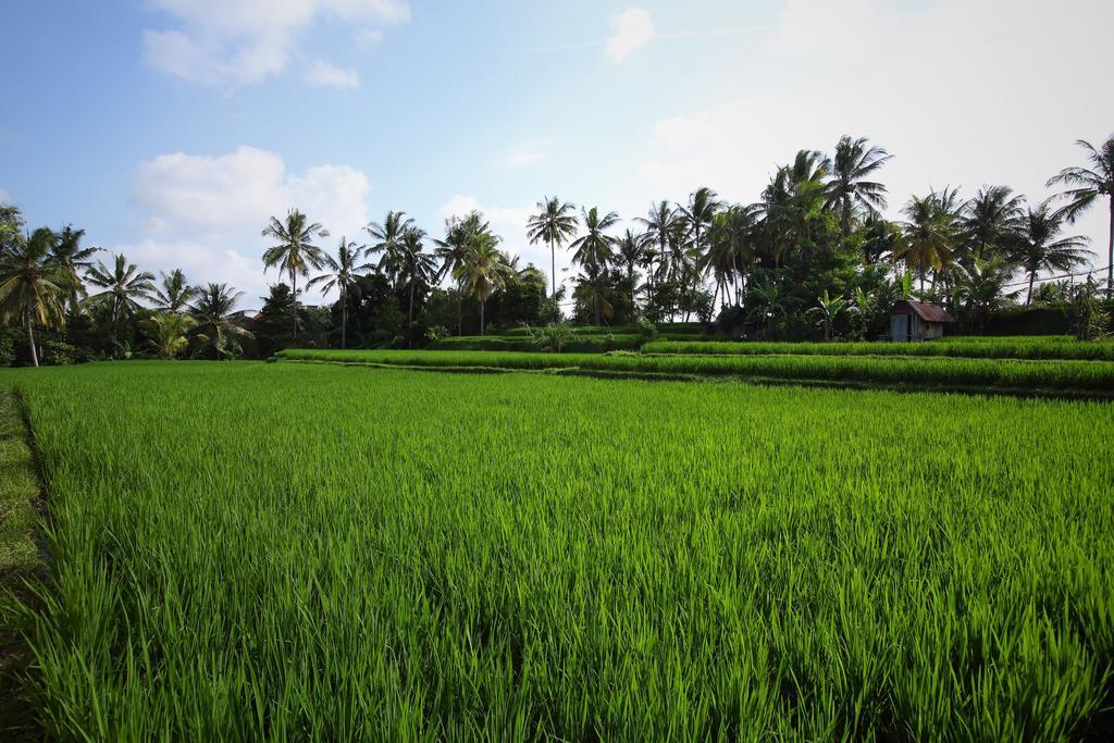 Satori Villas Bali อูบุด ภายนอก รูปภาพ