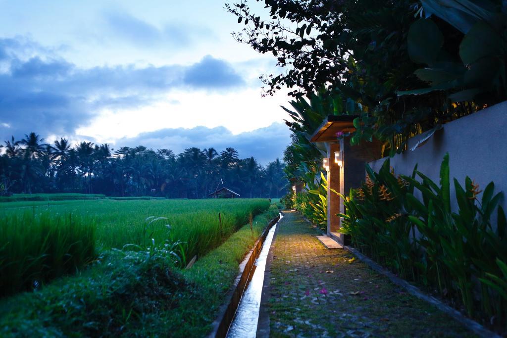 Satori Villas Bali อูบุด ภายนอก รูปภาพ