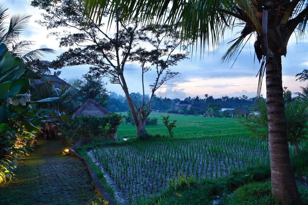 Satori Villas Bali อูบุด ภายนอก รูปภาพ