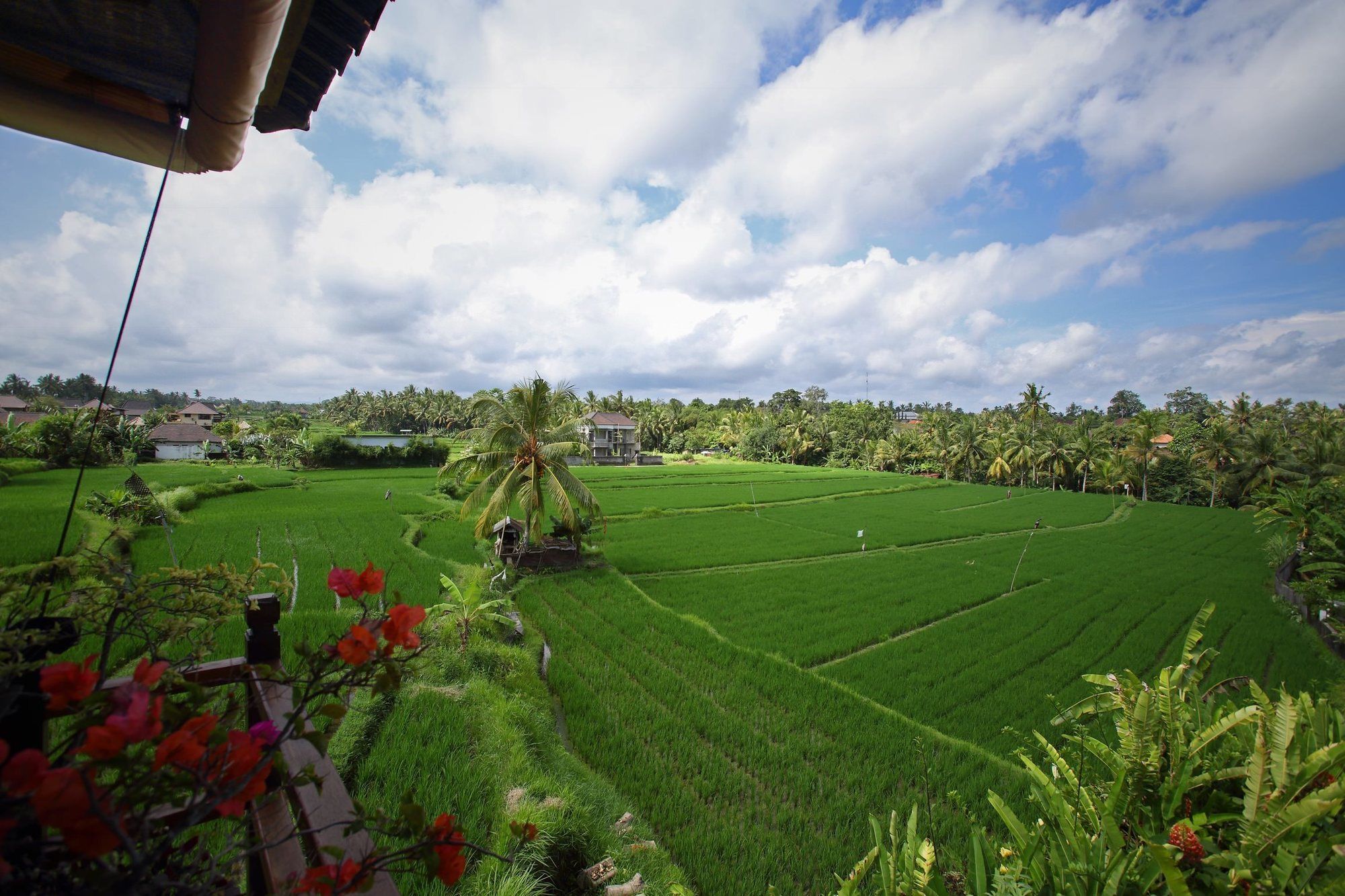 Satori Villas Bali อูบุด ภายนอก รูปภาพ